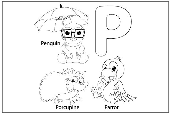 Reviewing the Letter P Graphics for Editorial Design